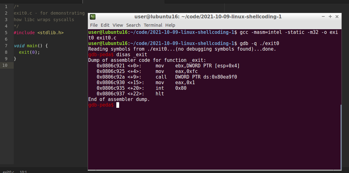 linux shellcoding