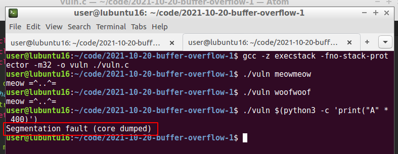 buffer overflow 3