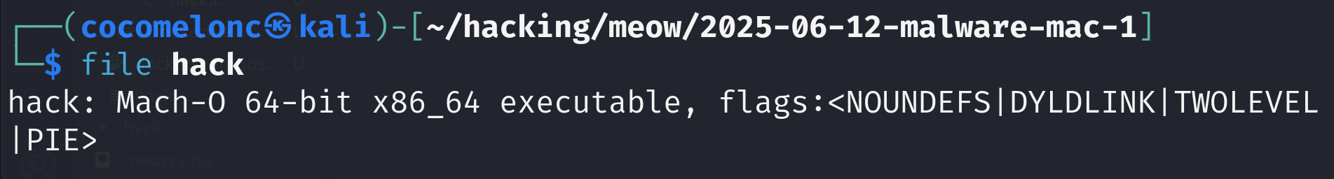 malware